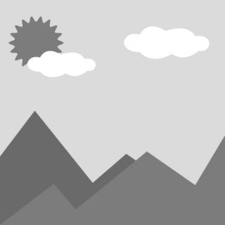 ملفات نيتي الخاصة بالأسنان والتي يمكن التخلص منها